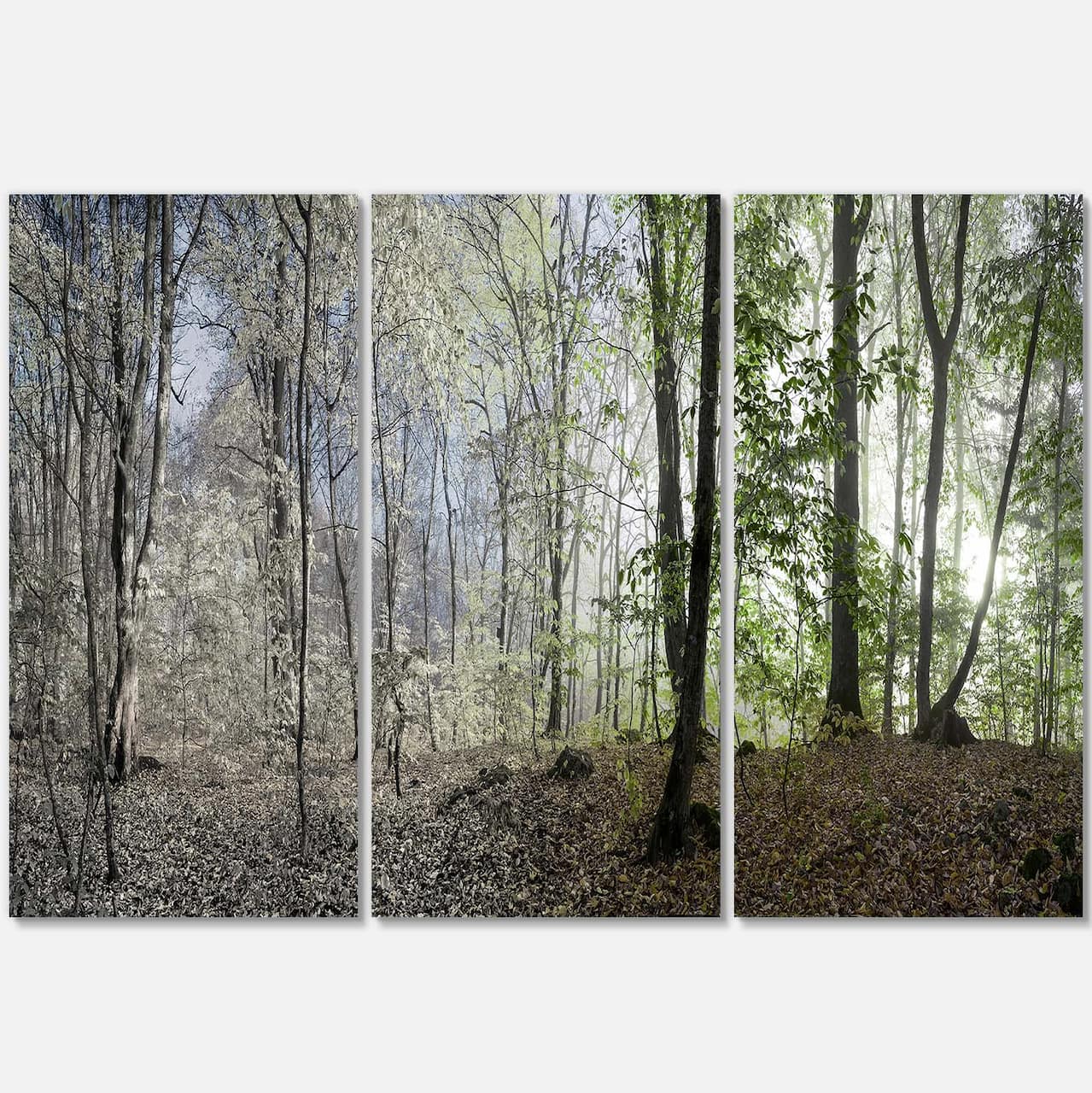 Designart - Green Morning in Forest Panorama - Landscape Canvas Art Print